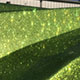 Lime Squeeze